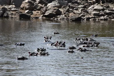 DSC_3492 (Large).JPG